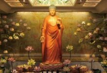 Cõi tịnh độ là gì? Tìm hiểu Phật giáo Tịnh độ tông
