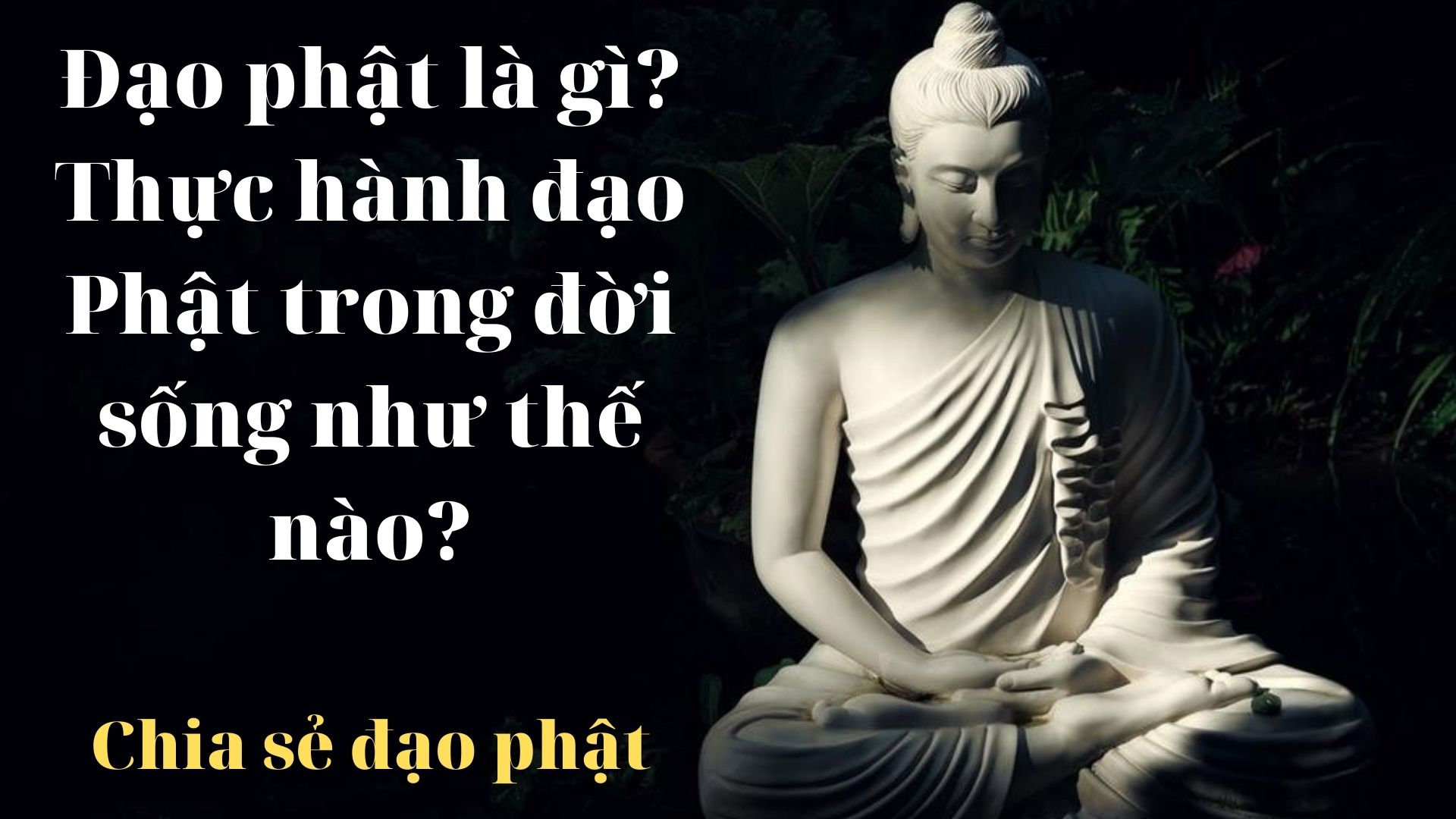 Đạo phật là gì? Thực hành đạo Phật trong đời sống như thế nào?