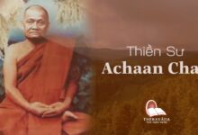 Thiền sư Ajahn Chah là ai? Tiểu sử cuộc đời và những thành tựu vĩ đại của ngài cho Phật giáo
