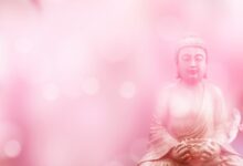 Những Ác Nghiệp Và Quả Nghiệp Của Đức Phật Thích Ca Mâu Ni (Gotama)